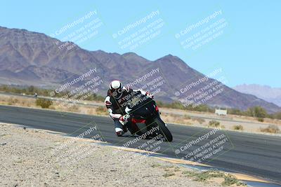 media/Mar-12-2022-SoCal Trackdays (Sat) [[152081554b]]/Turn 14 Inside (155pm)/